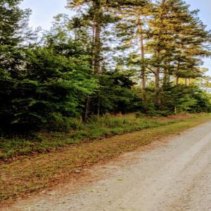 IMG_20190530_072711_768x576