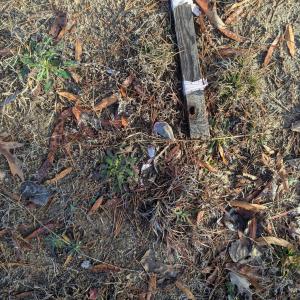 PXL_20241219_142642656 (1)