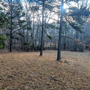 PXL_20241219_142750012~2 (1)