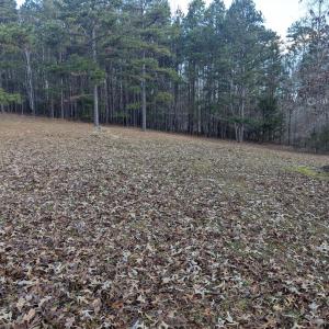 PXL_20241219_143041250 (1)