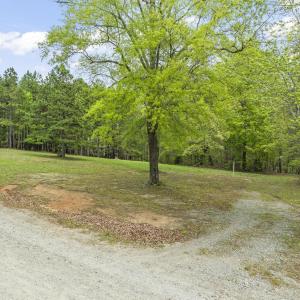 4-web-or-mls-DJI_0909