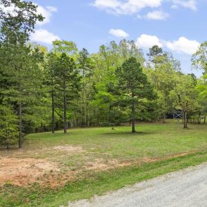 5-web-or-mls-DJI_0905