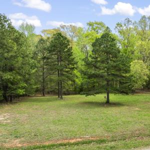 6-web-or-mls-DJI_0904