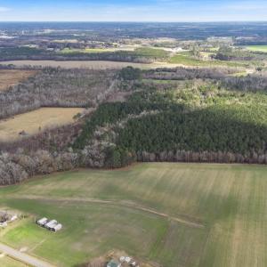 13-web-or-mls-DJI_0650