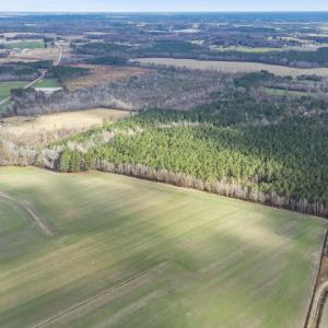 16-web-or-mls-DJI_0657