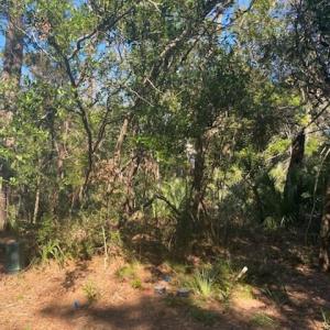 20230922174214482457000000-o