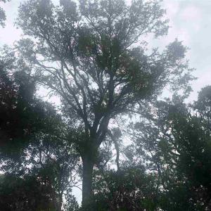 20230922174212549491000000-o