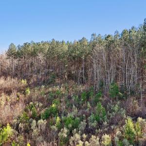 4-web-or-mls-Dewitt Smith Rd-004
