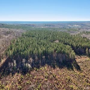 11-web-or-mls-Dewitt Smith Rd-011