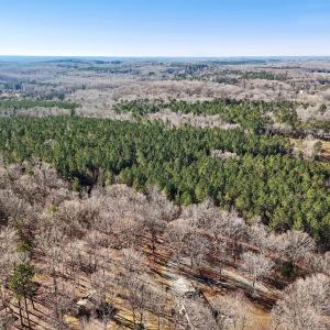 14-web-or-mls-Dewitt Smith Rd-014