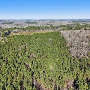 16-web-or-mls-Dewitt Smith Rd-016