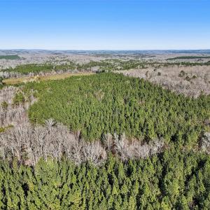 17-web-or-mls-Dewitt Smith Rd-017
