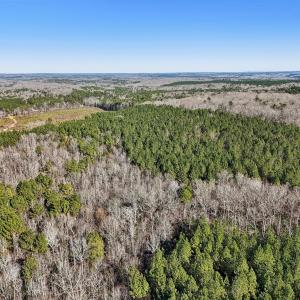 18-web-or-mls-Dewitt Smith Rd-018