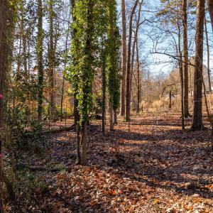BurlageCir-09