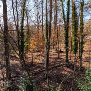 BurlageCir-10