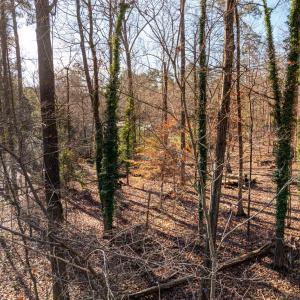 BurlageCir-12