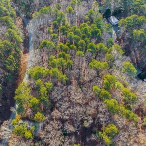 05-005-639HillsoftheHaw-Land-20250102