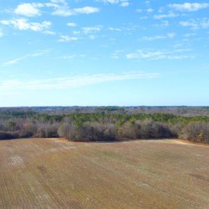 DJI_0219