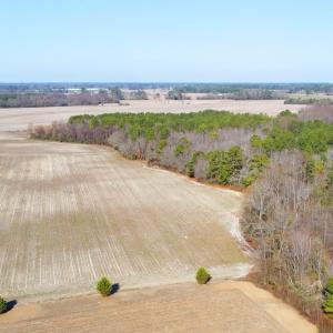 DJI_0223
