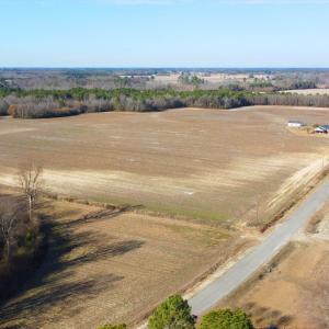 DJI_0225