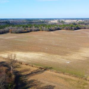 DJI_0227