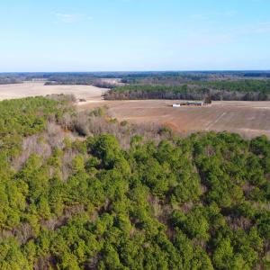 DJI_0229