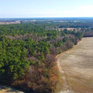 DJI_0244