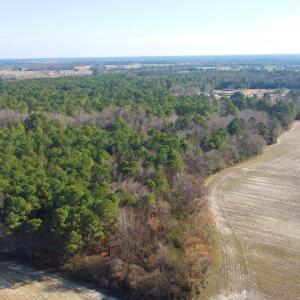 DJI_0245