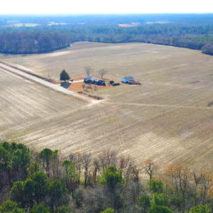 DJI_0250