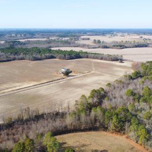 DJI_0259