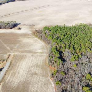 DJI_0261