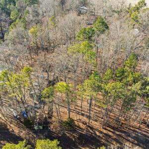 8-web-or-mls-DJI_0615