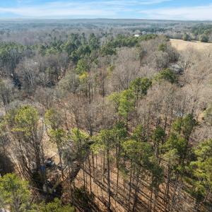 9-web-or-mls-DJI_0616