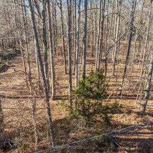 14-web-or-mls-DJI_0621