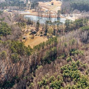 Olive Branch Prof. Picture #10