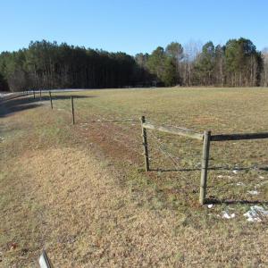 Land view