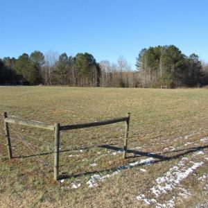 Land view