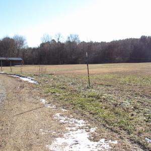Land view