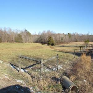 Land view