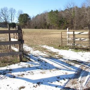 Land view