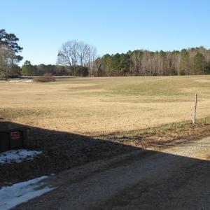 Land view
