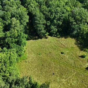 DJI_20250618100619_0010_D