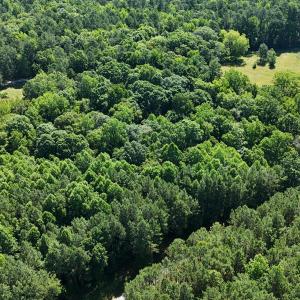 DJI_20250618100756_0013_D
