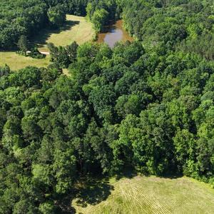 DJI_20250618100847_0015_D
