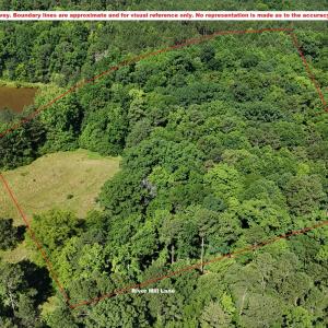 DJI_20250618100949_0018_D