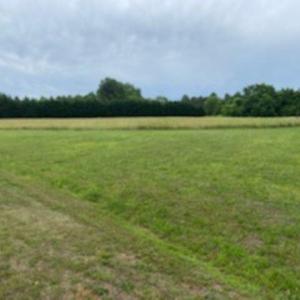 4524 W Millstone pic4
