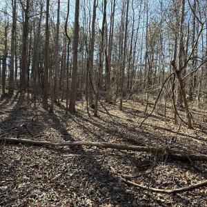 Hardwoods Throughout Lot