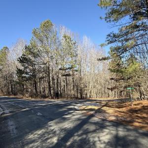 Corner Lot