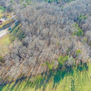 06-006-Chatham-Parcel-13882-20250102