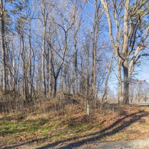 08-008-Chatham-Parcel-13882-20250102